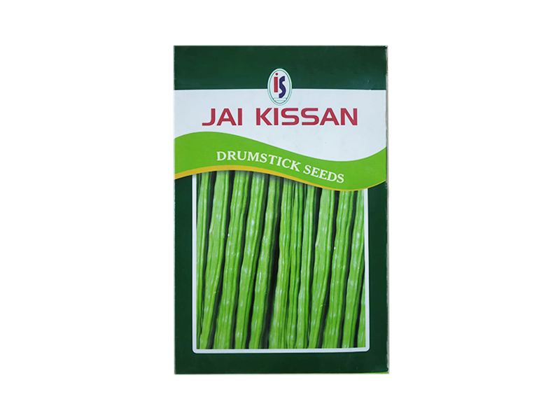 drum stick seeds