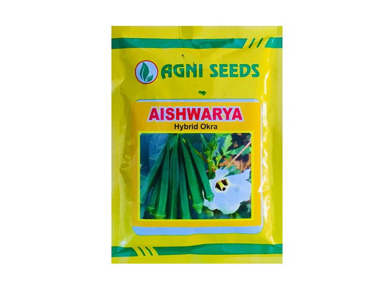 aiswarya -okra