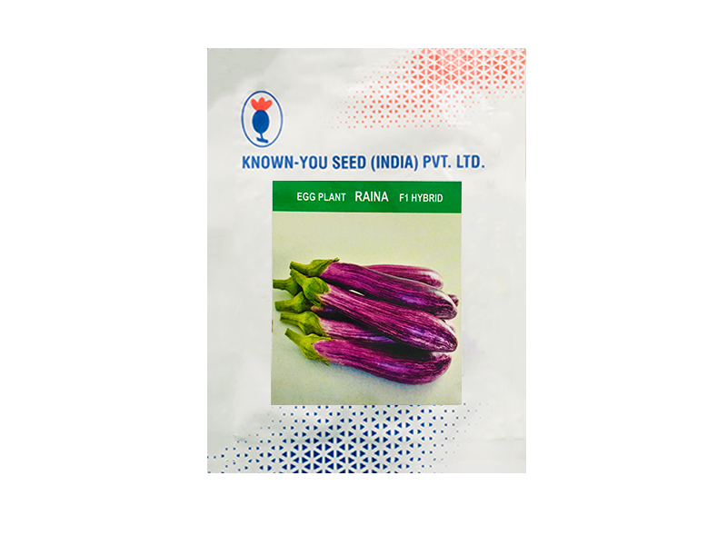 Brinjal seeds